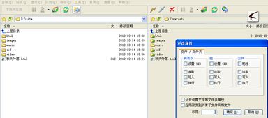 我用ftp上传我的网站后,在里输入我的域名却无法显示我的网页,我的域名,空间,ftp服务器都搞好了