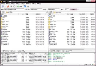 解析外国域名空间使用8uFTP上传常见问题及解决方案
